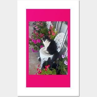 Tuxedo Cat Cute and Beautiful Flowers Posters and Art